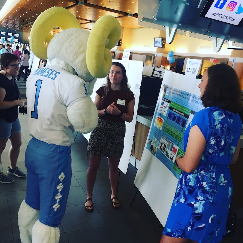 Rameses mascot at research poster