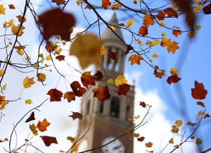 bell tower behind fall leaves