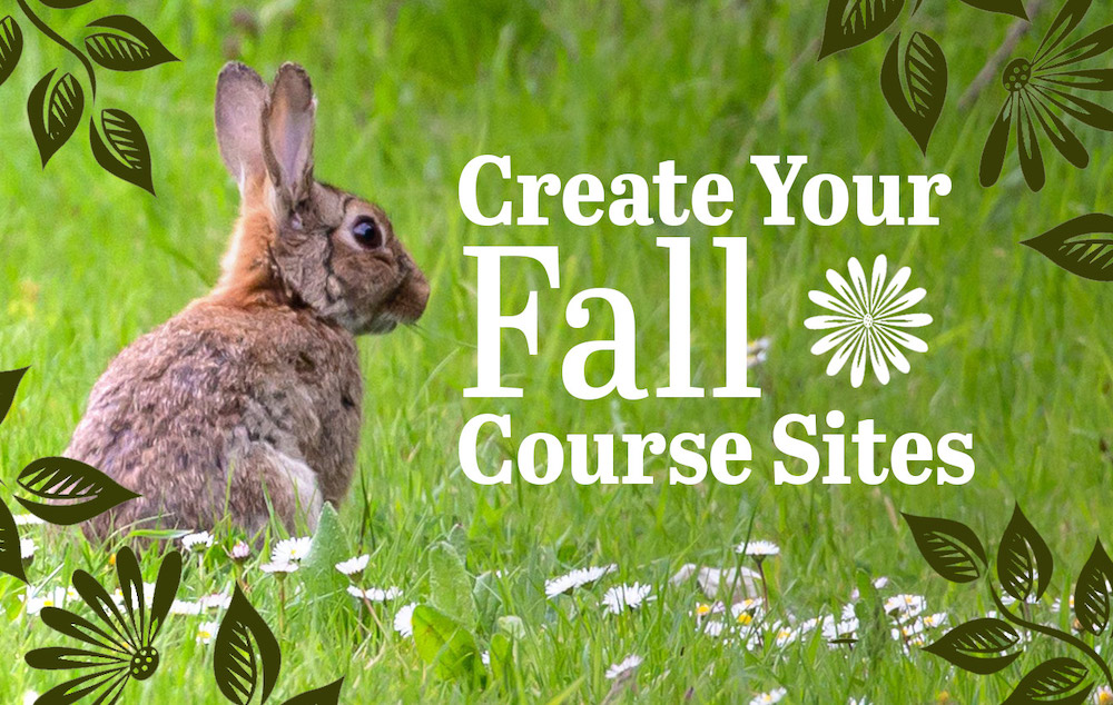 bunny in grassy field looks at text create your fall course sites
