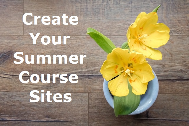 create your summer coures sites text next to yellow flowers
