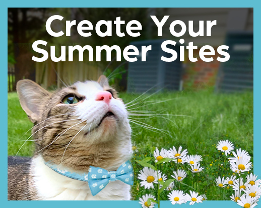 cat wearing carolina bow tie looks up at text create your summer sites