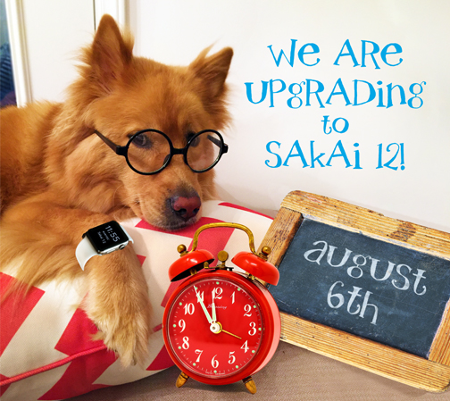 image of dog announcing sakai 12 upgrade on august 6