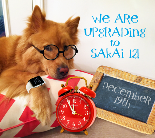 dog announcing sakai 12 upgrade december 19