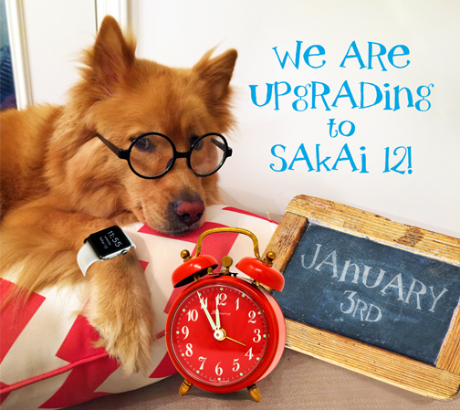 golden dog in glasses and watch announces sakai 12 upgrade