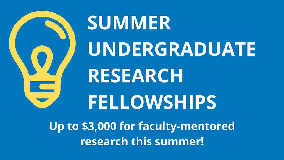 summer undergraduate research fellows