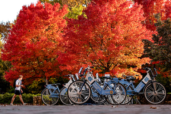 bright red orange autumn leaves on trees behind tar heel bikes